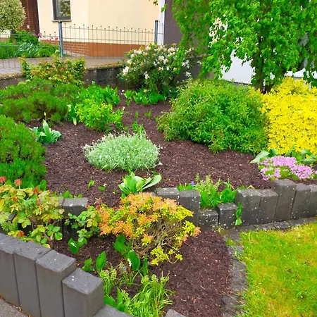 Apartment Fewo-hunsrueckhoehe