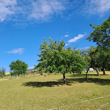 Fewo-hunsrueckhoehe Karbach (Rhein-Hunsruck-Kreis)